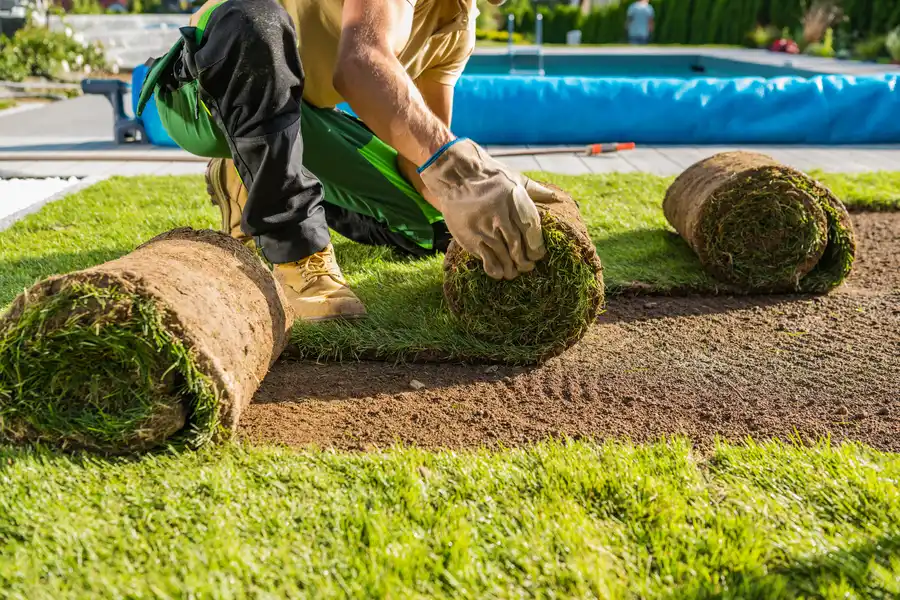 Professional Landscape Maintenance