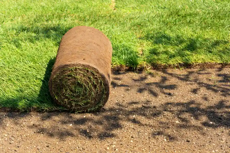 Sod Installation